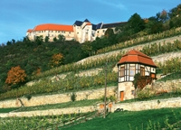 FDP-Chef in Freyburg